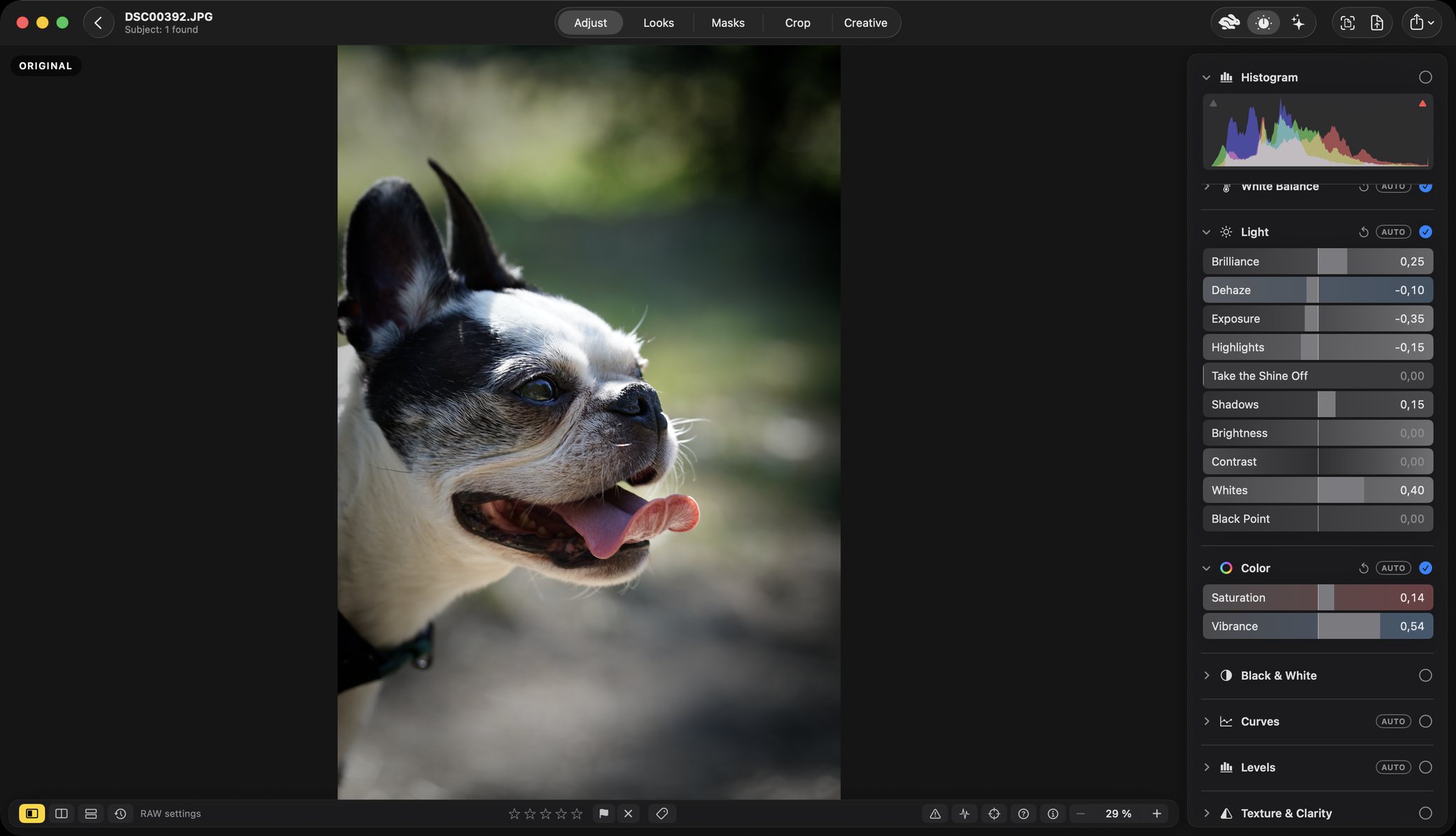 The same photograph in Rebrilo before it was edited.