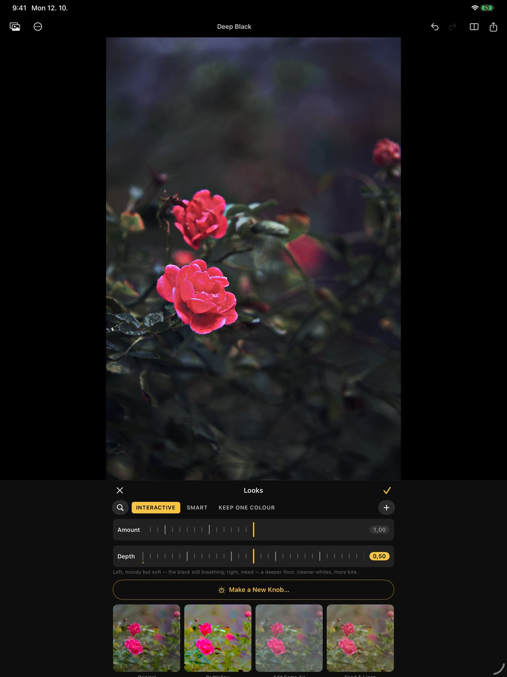 Rebrilo on an iPad, the Looks panel on the Interactive shelf: pink roses in the Deep Black look, dark and moody, with an Amount dial and the look's own dial, Depth, under the photograph.