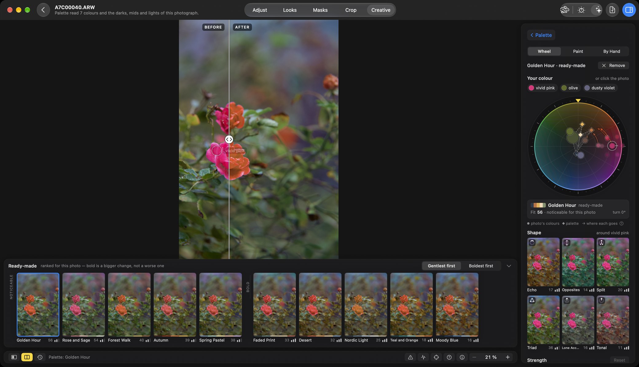 Rebrilo on the Mac, Palette Studio: the photograph's own colours as points on a colour wheel beside the photograph.