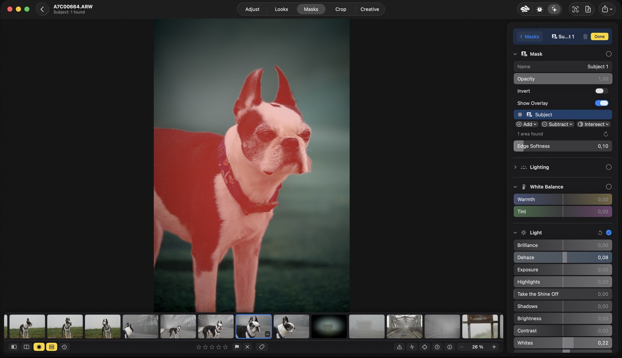 Rebrilo on the Mac, the Masks tab. A Boston terrier standing on a road is covered in a red overlay. The panel names the mask Subject 1, with Opacity, Invert and Show Overlay, a Subject component with Add, Subtract and Intersect, one area found, Edge Softness, and the mask's own White Balance and Light sliders. A filmstrip of the shoot runs along the bottom.