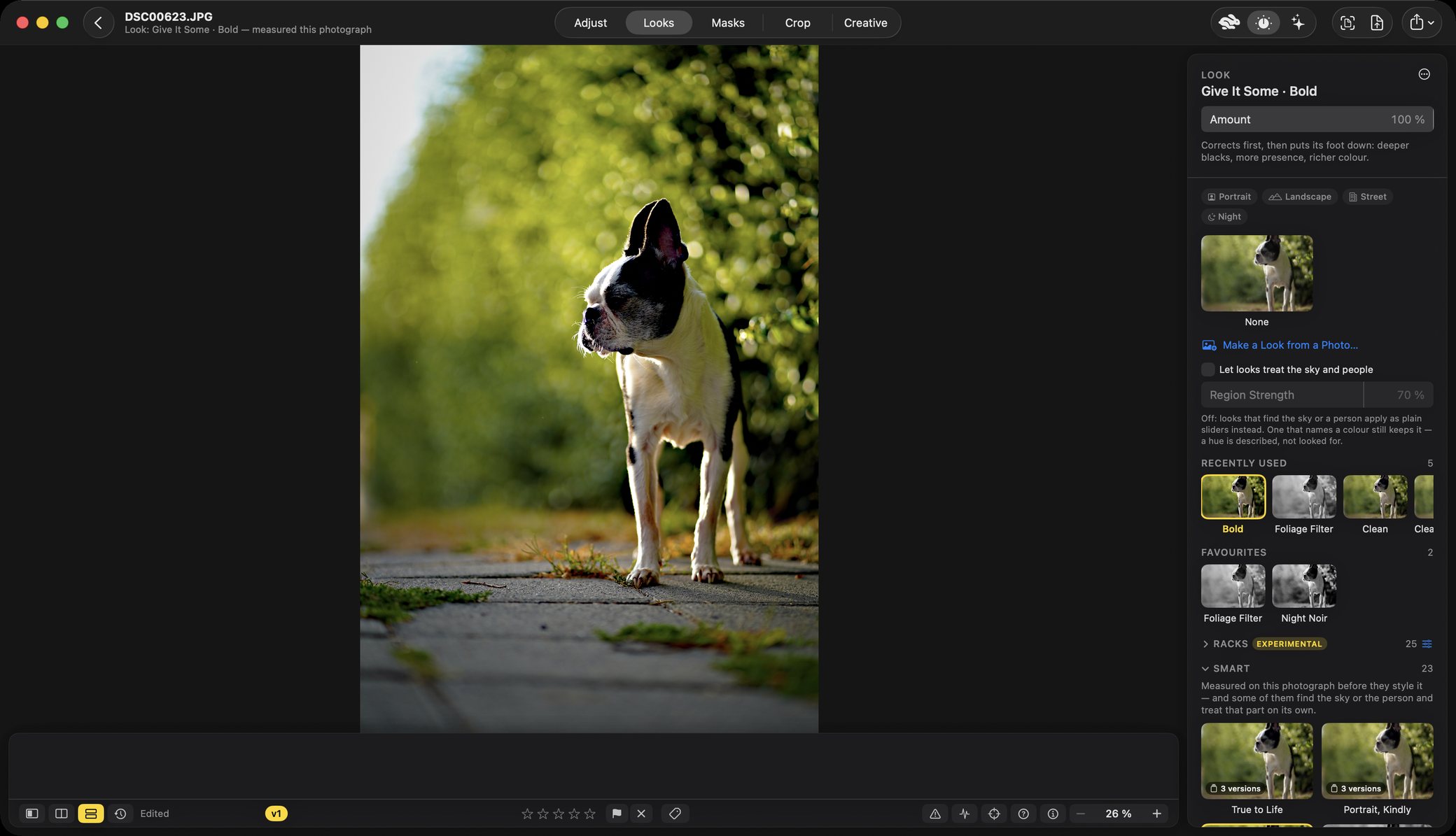The Rebrilo editor on the Looks tab, a backlit Boston terrier on a paving slab. The title bar reads Look: Give It Some, Bold — measured this photograph. The panel shows an Amount slider at 100 per cent, occasion chips reading Portrait, Landscape, Street and Night, and shelves headed Recently Used, Favourites, Racks and Smart.