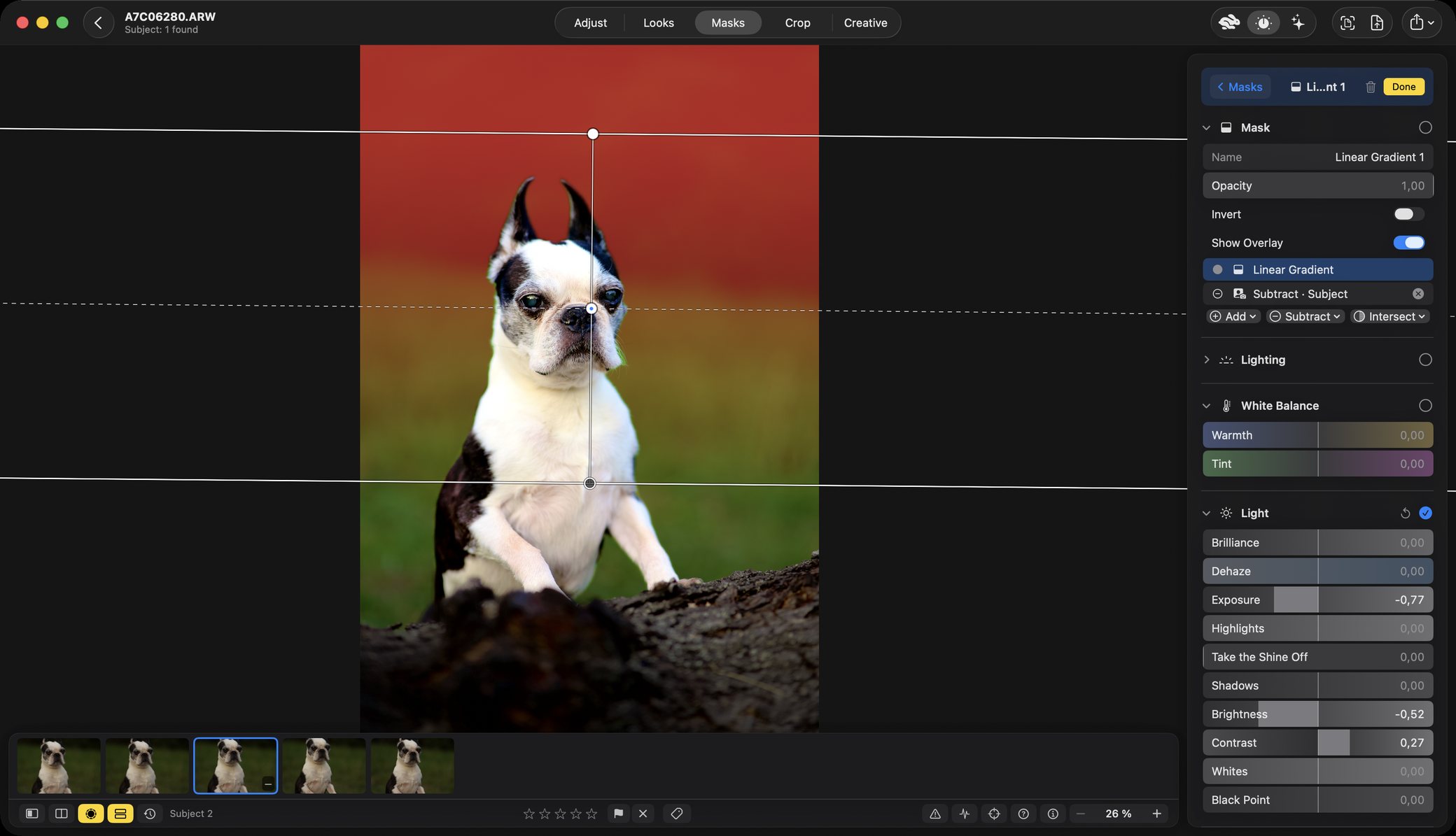 The same photograph under a linear gradient mask. A red overlay covers the top of the frame and fades out across the middle, with three guide lines and their handles drawn across the picture; the dog is clear of the red. The panel lists two components, Linear Gradient and Subtract, Subject.