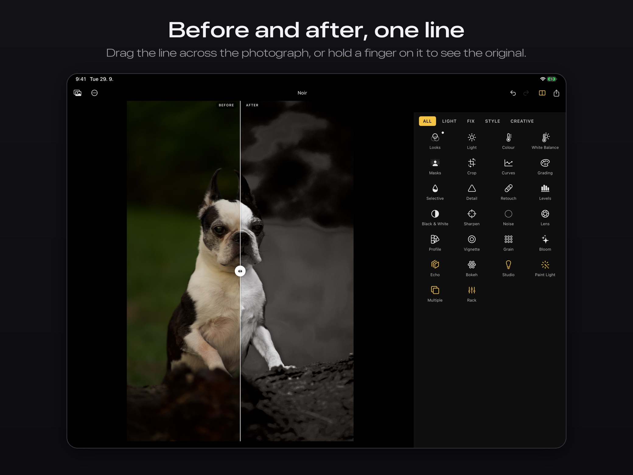 Rebrilo on an iPad held sideways: a Boston terrier split down the middle, before on the left in colour and after on the right in black and white, with a white line to drag between them. The tools stand beside the photograph in a grid: Looks, Light, Colour, White Balance, Masks, Crop, Curves, Grading and more.