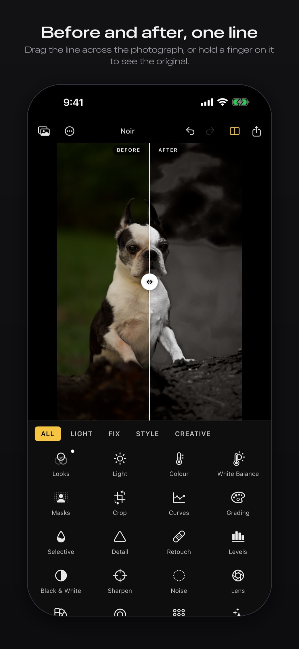 Rebrilo on an iPhone: the same Boston terrier split before and after, with the grid of tools under the photograph.